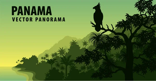 Vector panorama of Panama with jungle raimforest with harpy eagle — Stock Vector