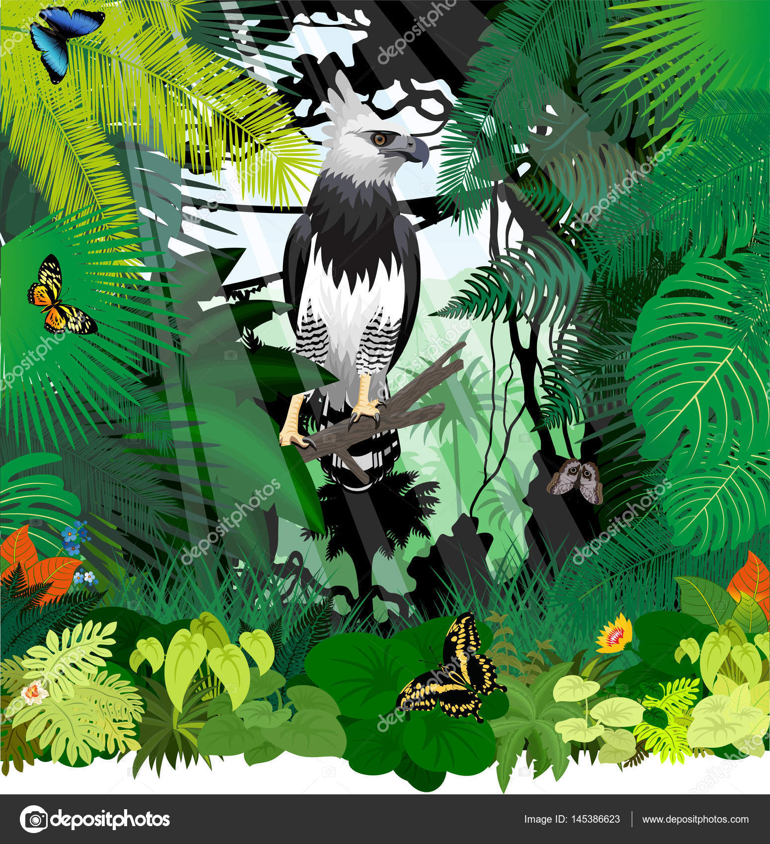 Vector Harpy Eagle and butterflies in Jungle Rainforest Stock Vector Image  by ©SaveJungle #145386623