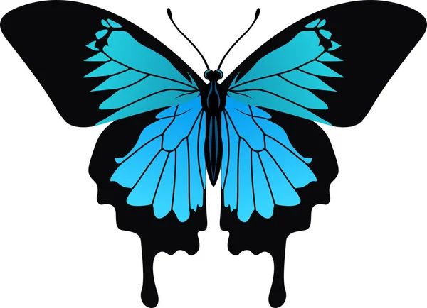 Vecteur papillon Ulysses de Indonésie — Image vectorielle