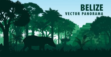 vector panorama of Belize with jungle raimforest, tapir and ancient Mayan ruin clipart