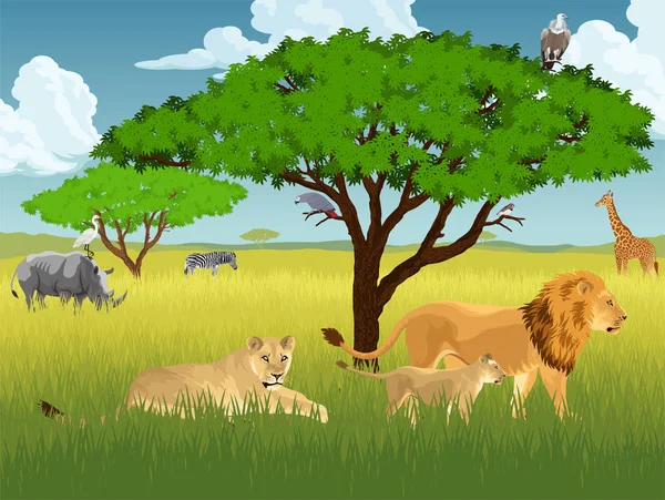 Vector de sabana africana con leones, rinoceronte, girrafe, buitre, cebra y garza — Vector de stock