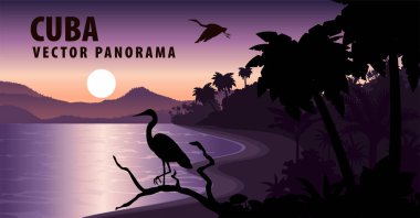 Küba plaj ve heron ile vektör Panoraması