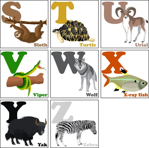 Vektor ilustrasi dari alfabet hewan dari S sampai Z - Stok Vektor