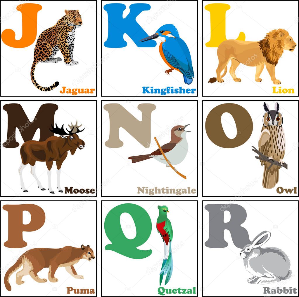 Vector illustration of alphabet animals from J to R