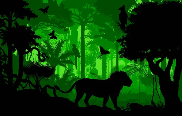 Vektor večer tropický deštný prales pozadí džungle s lion — Stockový vektor