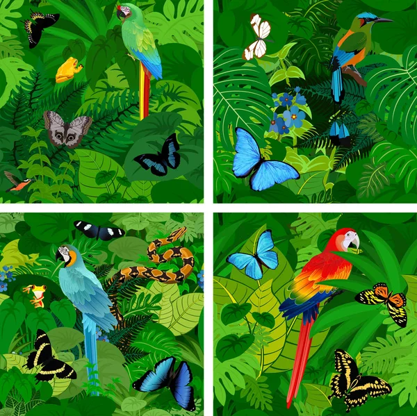 Nahtloser Vektor tropischer Regenwald Dschungel Hintergrund mit Papageien — Stockvektor