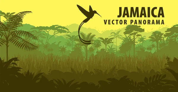 Vector panorama de Jamaica con selva y colibrí — Vector de stock