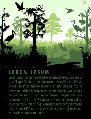 vector rainforest wetland silhouettes in sunset design template clipart