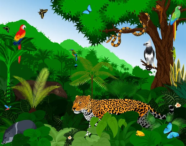 Foresta pluviale con animali vettoriale illustrazione. Selva tropicale verde vettoriale con pappagalli, giaguaro, tapiro, peccaria, arpia, motmot, anaconda e farfalle . — Vettoriale Stock