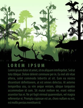 yağmur ormanları sulak siluetleri balıkçıl, geyik, timsah, kaplumbağa, kingficher ve karabatak günbatımı tasarım şablonundaki vektör