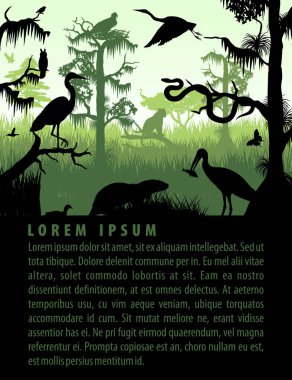 vector rainforest wetland silhouettes in sunset design template with heron, otter, python, puma, eagle and owl clipart