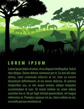 Afrika savana safari yatay, yabani hayvanlar ve bitkiler hayvanlar siluetleri günbatımı tasarım şablonundaki vektör çizim