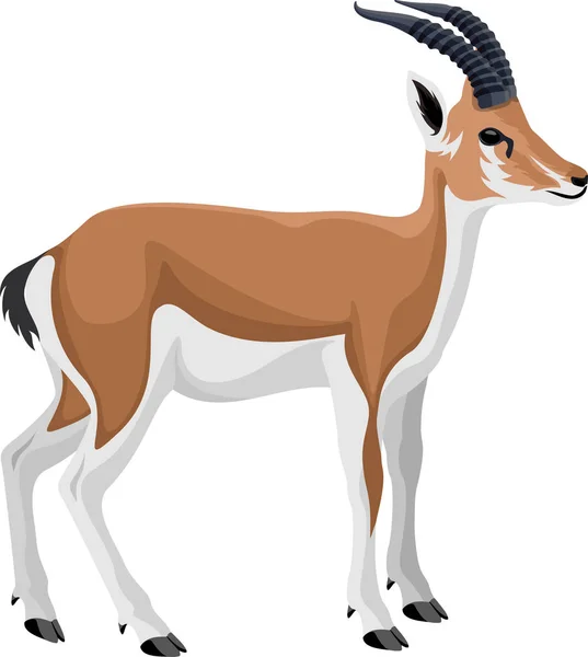 Vector persa gazelle impala Gráficos vectoriales