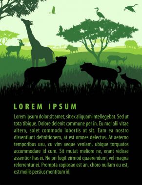 Afrika savana safari manzara günbatımı tasarım şablonu hayvanlarda yaban hayatı ile vektör çizim