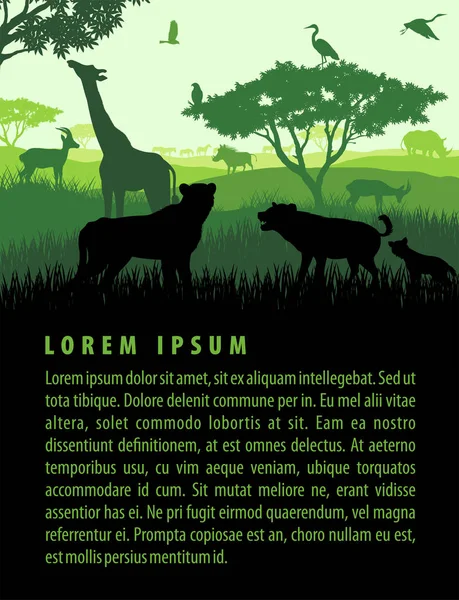 Ilustración vectorial del paisaje de safari de sabana africana con animales silvestres en la plantilla de diseño de puesta de sol — Archivo Imágenes Vectoriales