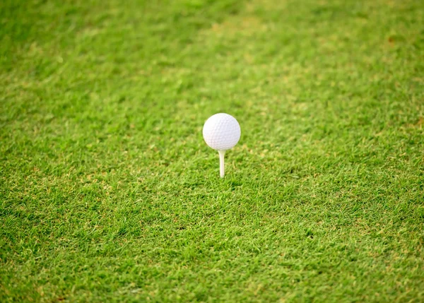 Fehér golf labda — Stock Fotó