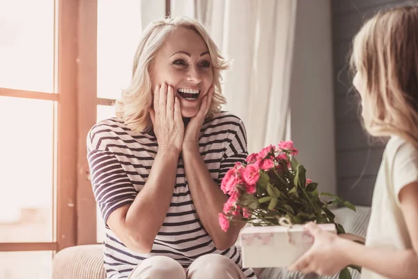 Saludos de vacaciones de la abuela — Foto de Stock