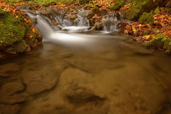 Detail van de herfst brook met stenen en bladeren — Stockfoto