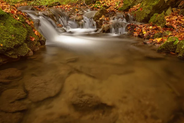 A sziklák és a levelek őszi brook részlete — Stock Fotó
