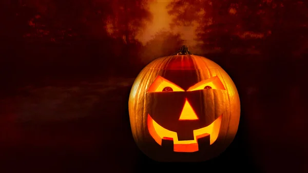 Calabaza en el árbol de fondo —  Fotos de Stock