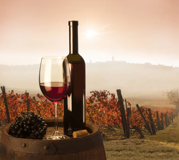 Rotwein auf Weinberg Hintergrund lizenzfreie Stockbilder