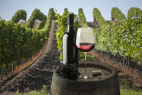 Bodegón con vino tinto —  Fotos de Stock