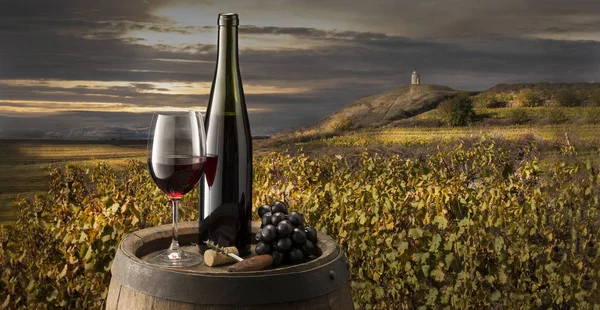 still life with red wine on vineyard background