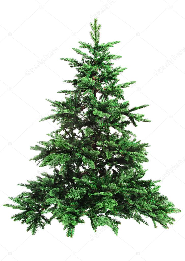 bare Christmas tree
