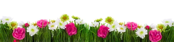 Border of green grass and flowers — Stock Photo, Image