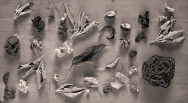 Kuru otlar ile natürmort