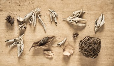 Kuru otlar ile natürmort