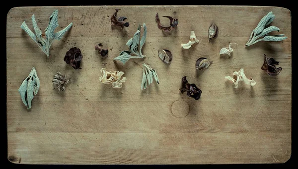 Kuru otlar ile natürmort