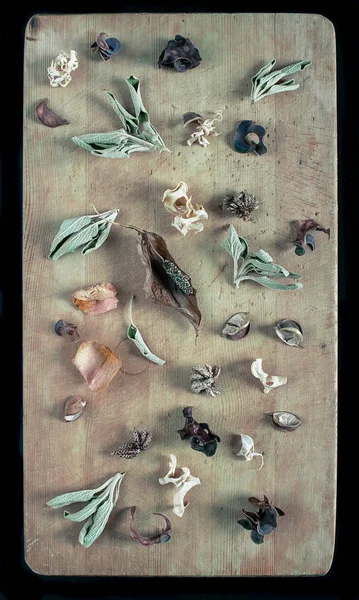 Kuru otlar ile natürmort