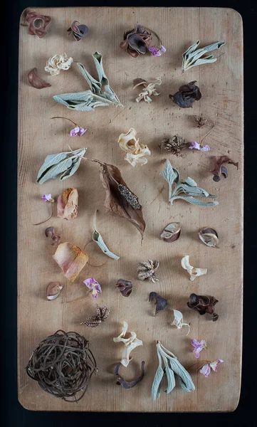 Still life with dry herbs — Stock Photo, Image