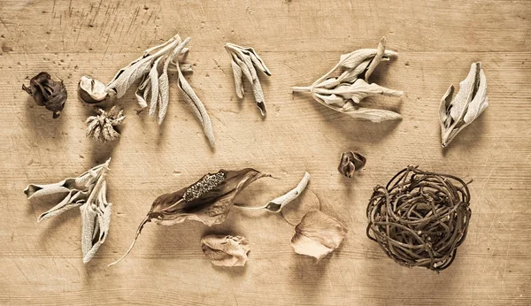 Kuru otlar ile natürmort