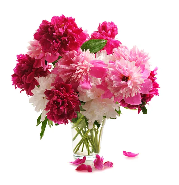 Bouquete of colorful peonies — Stock Photo, Image