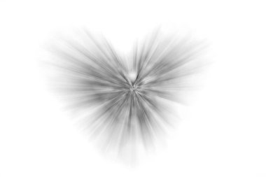 Sevgililer Günü için kabuktan yapılmış bir kalbin görüntüsü.