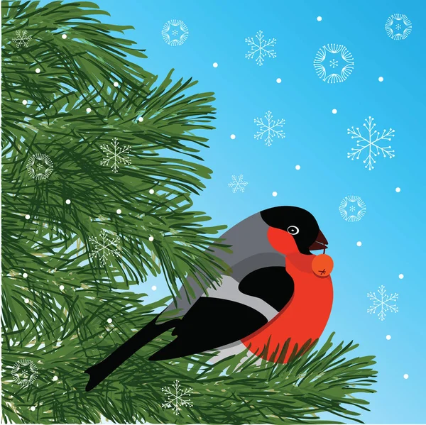 Gimpel mit Vogelbeere auf Nadelzweig sitzend, blauer Hintergrund und Schneeflocken, Vektorillustration — Stockvektor