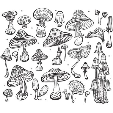 Set of Sketch of mushrooms clipart