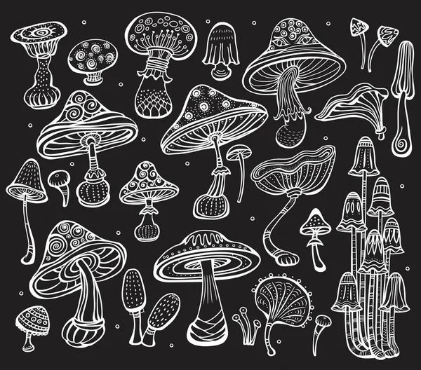 Set of Sketch of mushrooms on black — Stock Vector