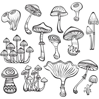 Set of Sketch of mushrooms clipart