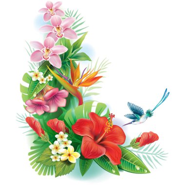 tropik çiçekler ve yapraklar düzenlemesi