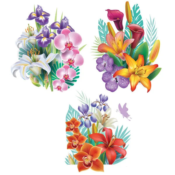 Arrangements de fleurs tropicales — Image vectorielle