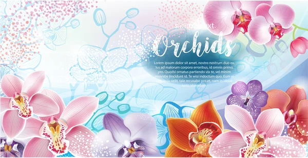 Tarjeta de felicitación con flores de orquídeas — Vector de stock