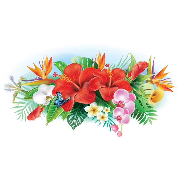 Arrangemang av tropiska blommor — Stock vektor