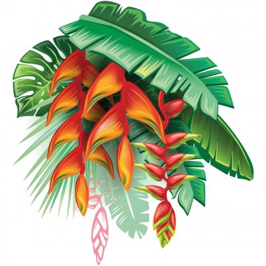 Tropik bitkiler ve Heliconia Çiçek Aranjman