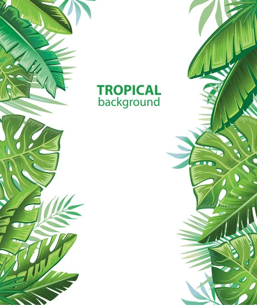 Tropical leaves and plants — Stock Vector