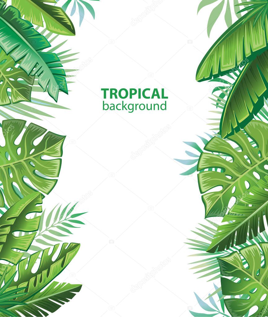 Tropical leaves and plants