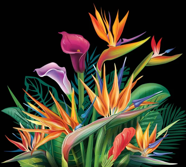 Bouquet floreale con fiori Strelitzia su nero — Vettoriale Stock