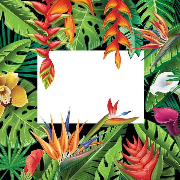 Marco de plantas tropicales y flores — Vector de stock